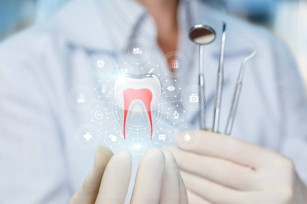 Best Dental Fillings (Composite and Amalgam)  in Maryland City, MD